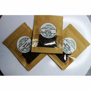 Scent Leaf or African Sweet Basil (Efinrin) Seeds