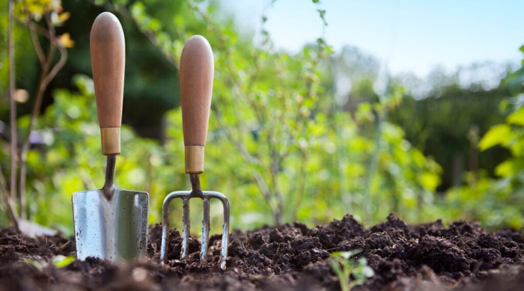 planning-a-fall-vegetable-garden-step-by-step-guide-for-august-planting