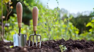 planning-a-fall-vegetable-garden-step-by-step-guide-for-august-planting