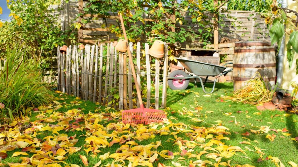 Autumn Composting Tips: Turn Leaves Into Garden Gold
