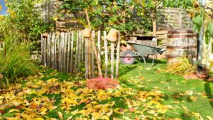 Autumn Composting Tips: Turn Leaves Into Garden Gold