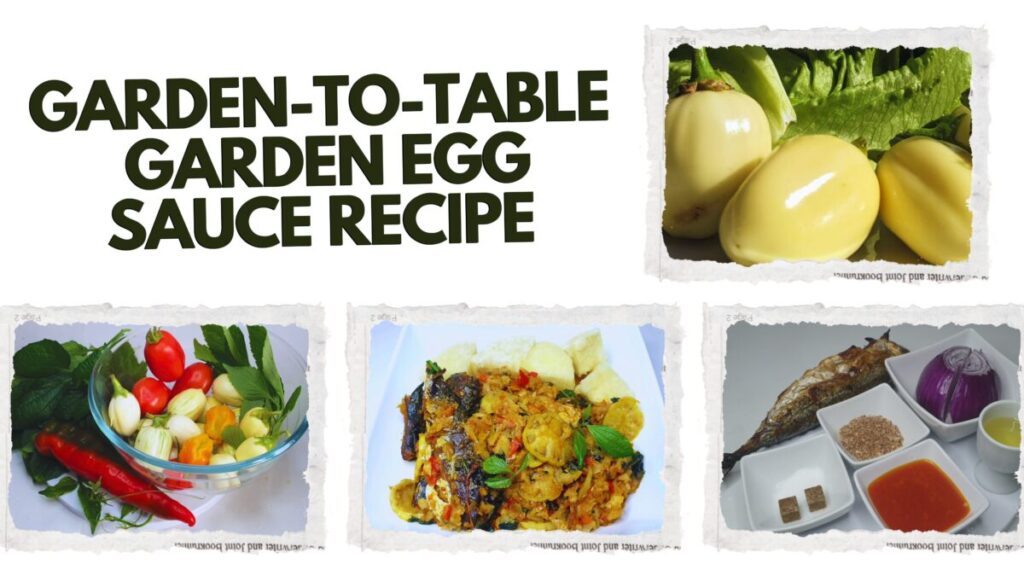 Garden Egg Sauce Recipe