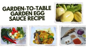 Garden Egg Sauce Recipe