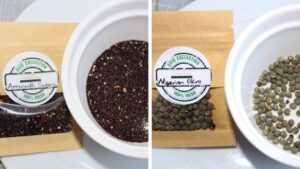 Learn how to source seeds for your home garden